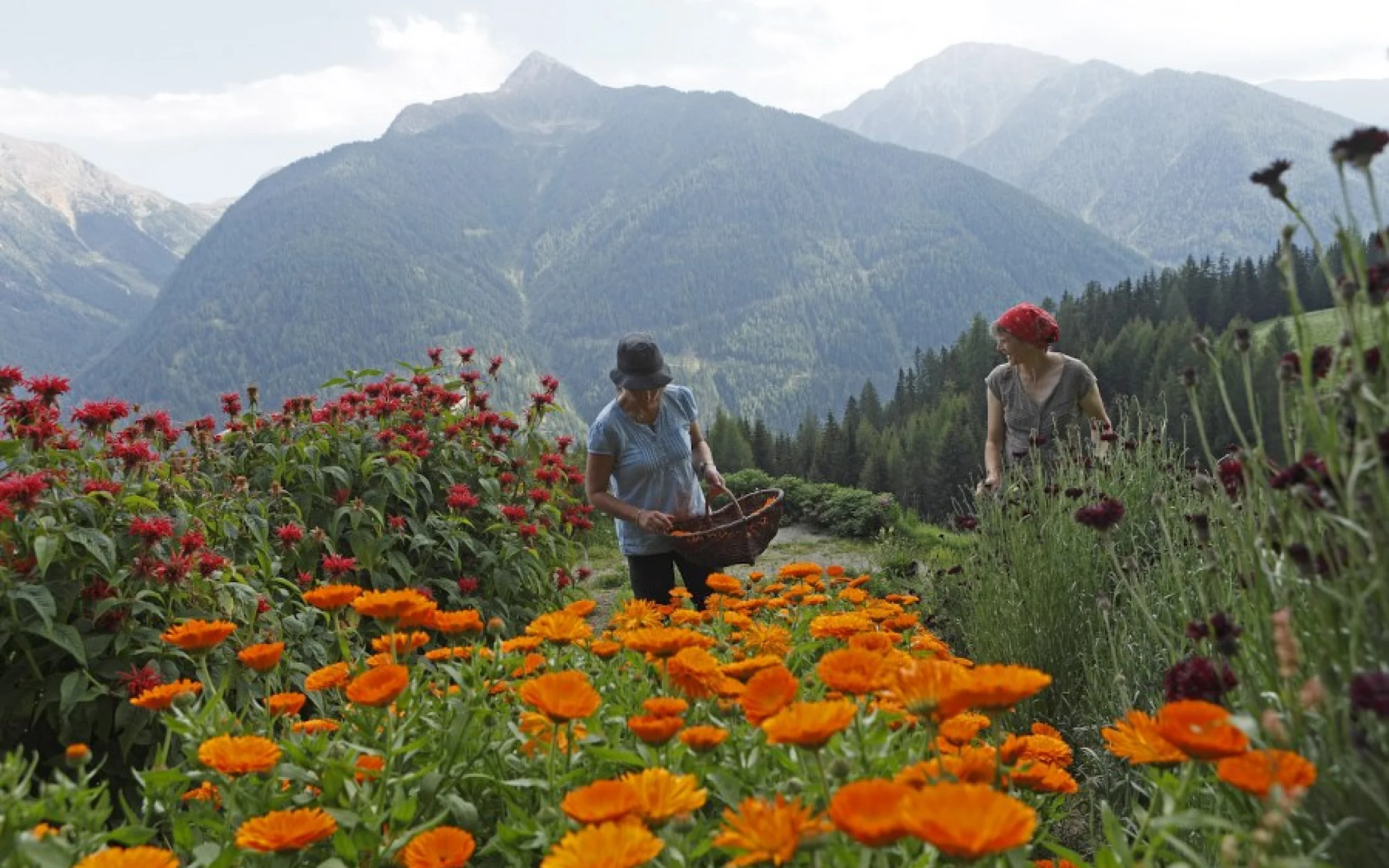 Anna Berger_03 09 12_14 52_1346676743_900x600.jpg